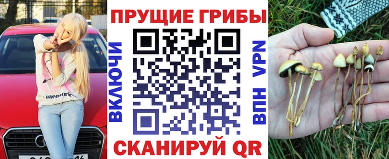Галлюциногенные грибы мухоморы  даркнет сайт  Торжок 